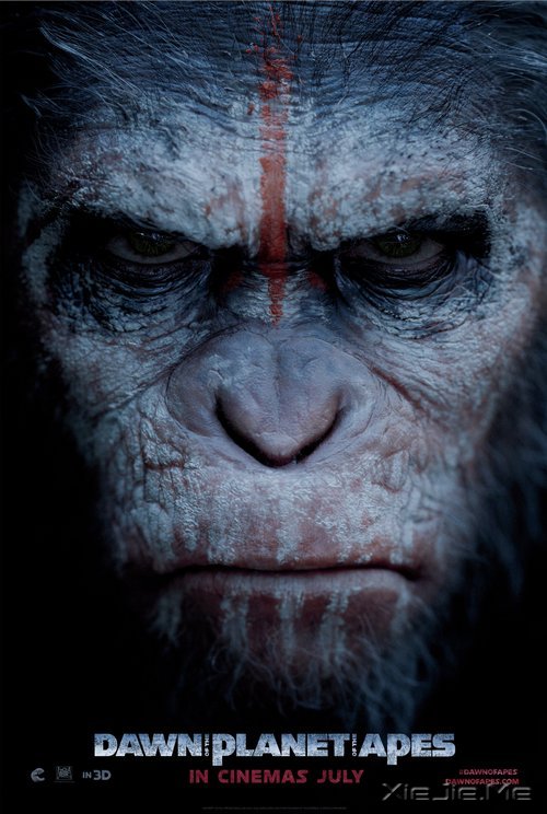 2014�꼴����ӳ�ĺ������Ƭ (14)