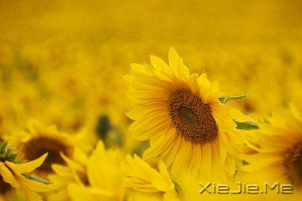 ������¼��������磬������������ (7)