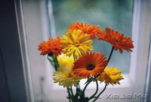 ְ������ְ������Ҫע���20��Сϸ��