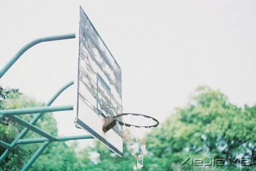 �Ǹ�����ɲ�Ǽ�͸���û�����κι�ϵ