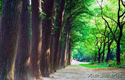 ���������ѵģ����㲻���Լ�