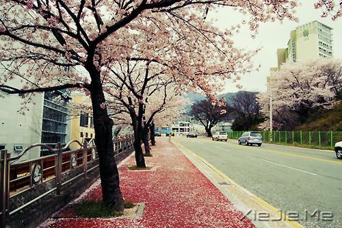 ���Ǳ��������ı���̫�ࣨ��/�����֣�