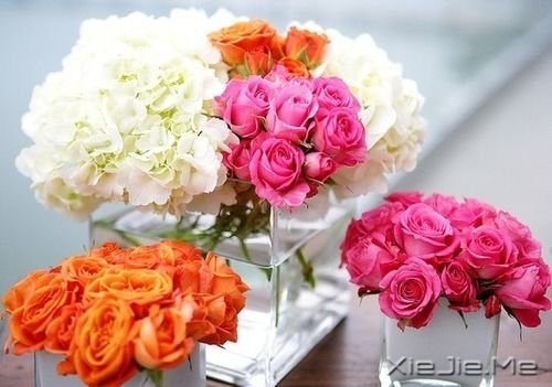 ������¼��20�������������� (2)