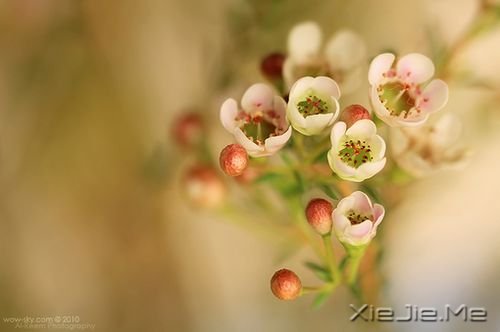 Ư���Ļ���ͼƬ (3)