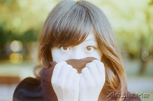 �����򡱵ĺ�ֽ����������