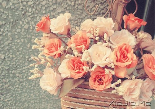 ��������̤���˾ͻز���ͷ����;