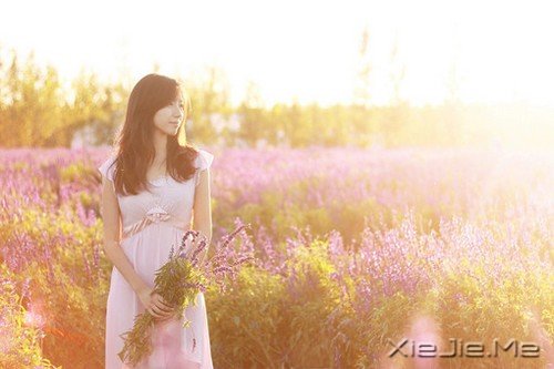 �������ĵİ���΢����